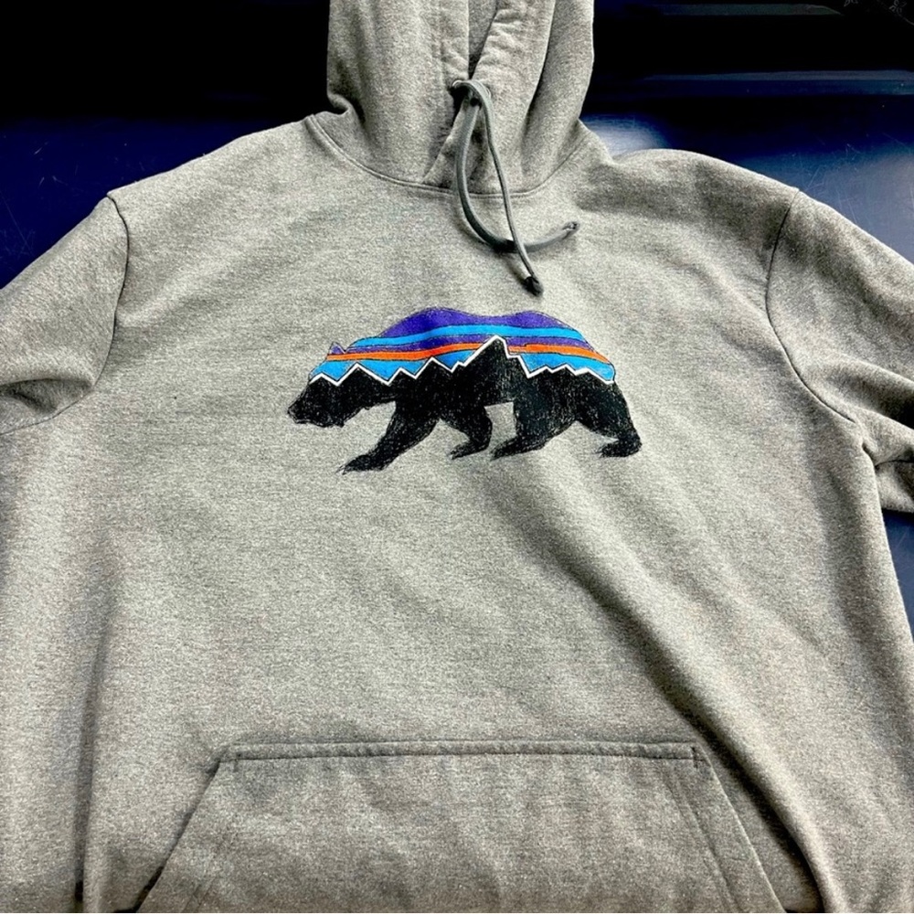 Patagonia Fitz Roy Bear Hoodie Size Medium